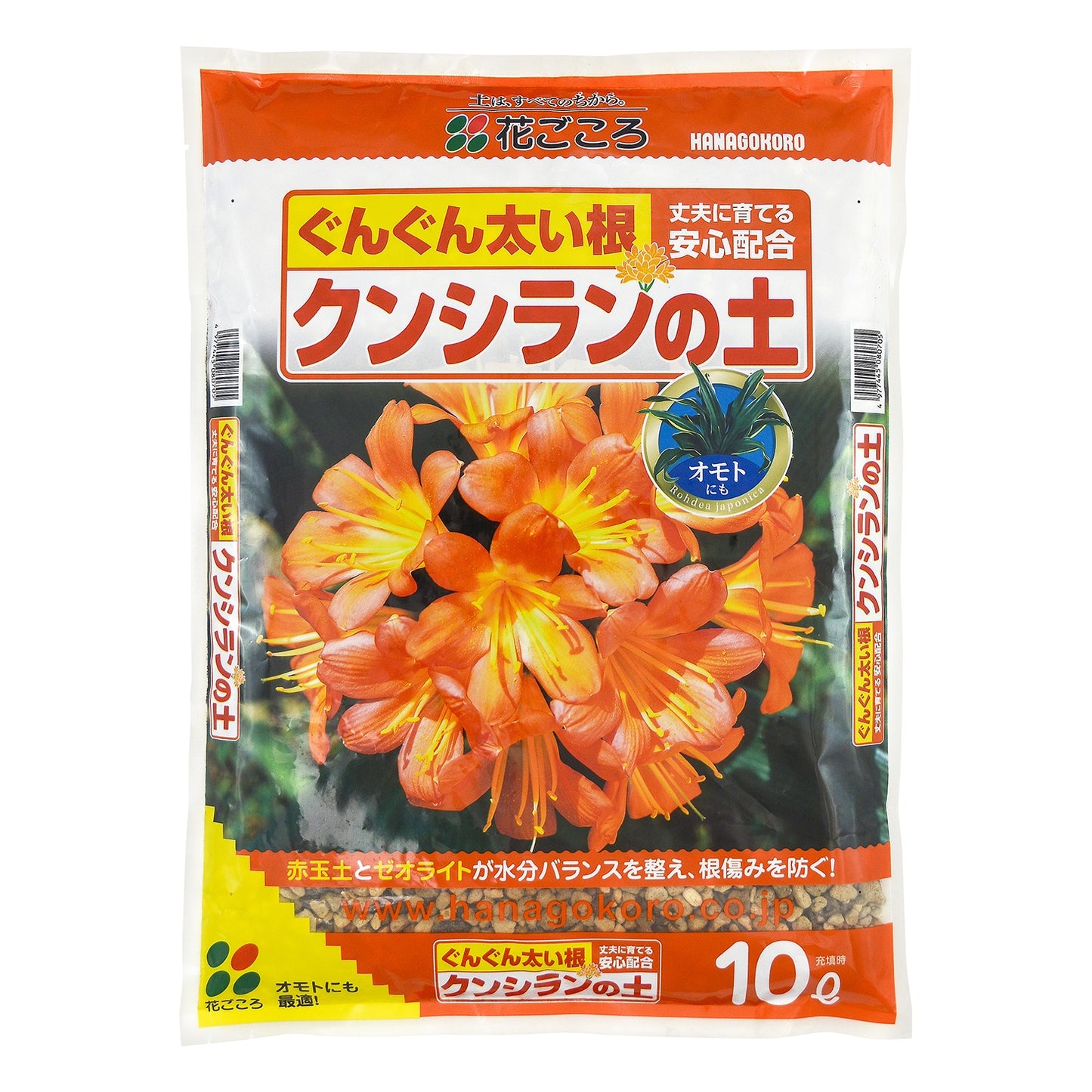 花ごころ クンシランの土