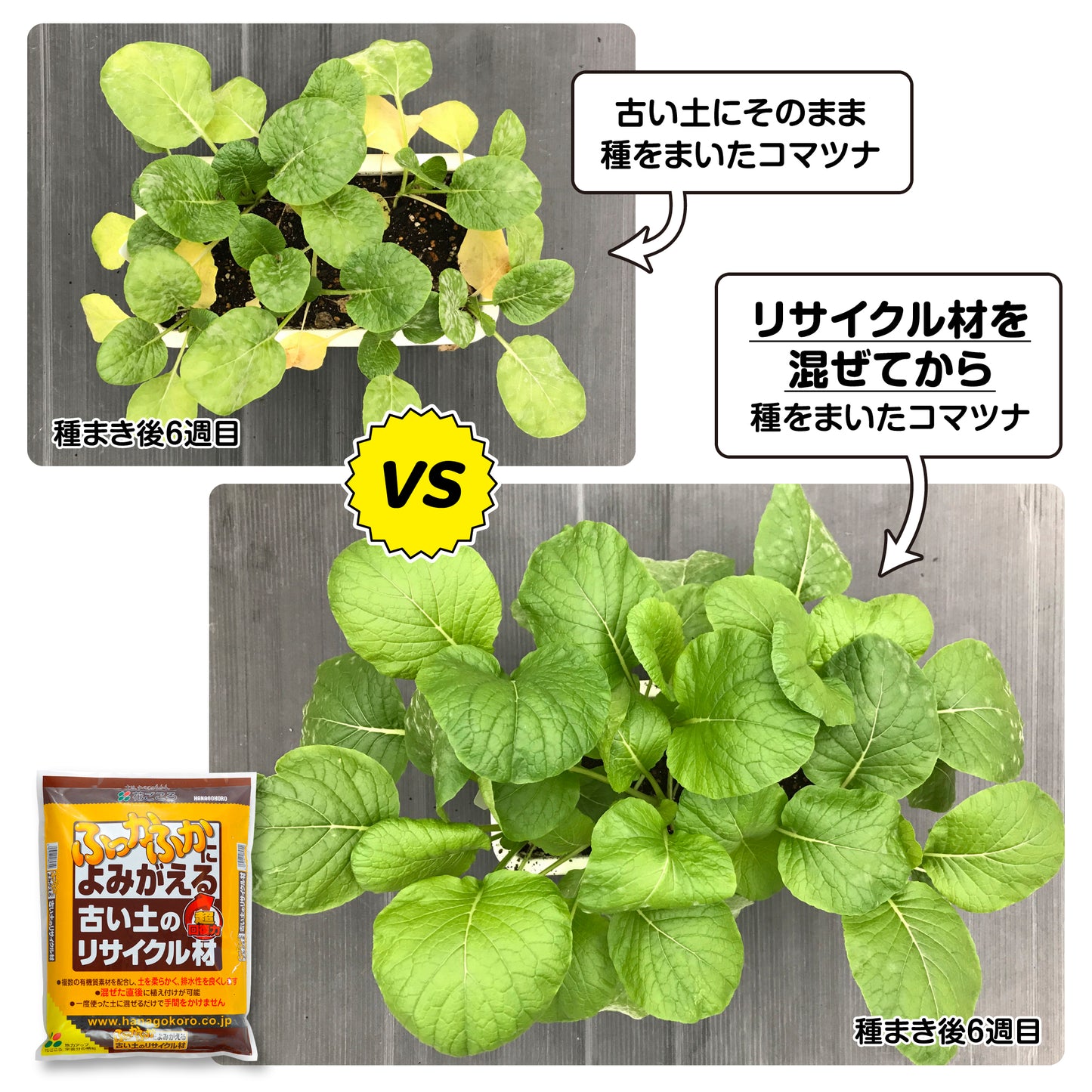 花ごころ 古い土のリサイクル材