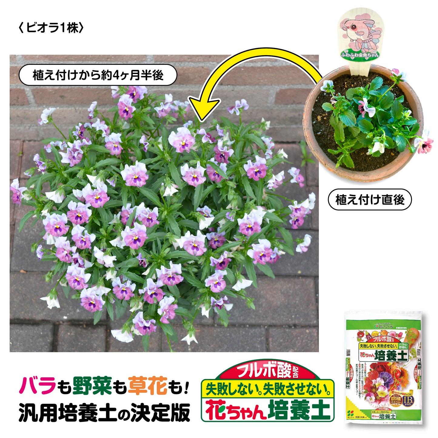 花ごころ フルボ酸配合 花ちゃん培養土
