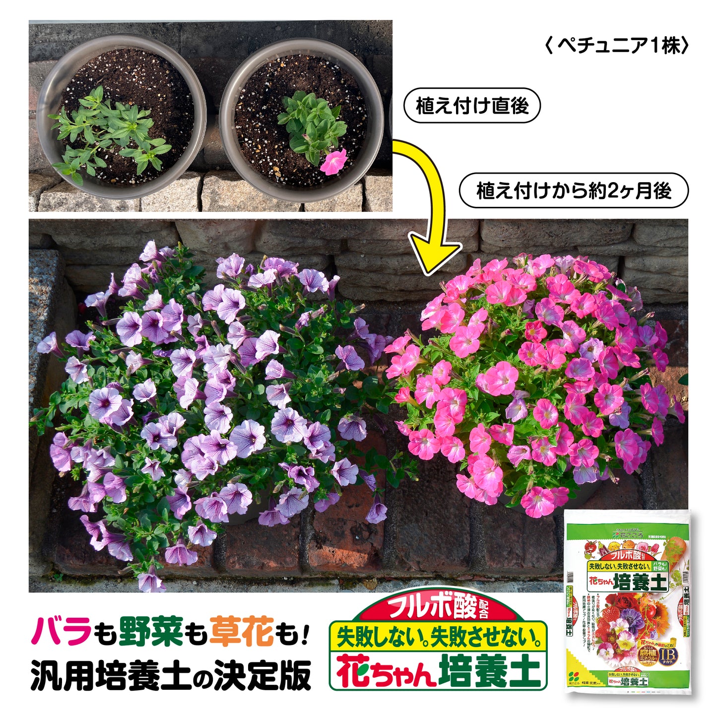 花ごころ フルボ酸配合 花ちゃん培養土