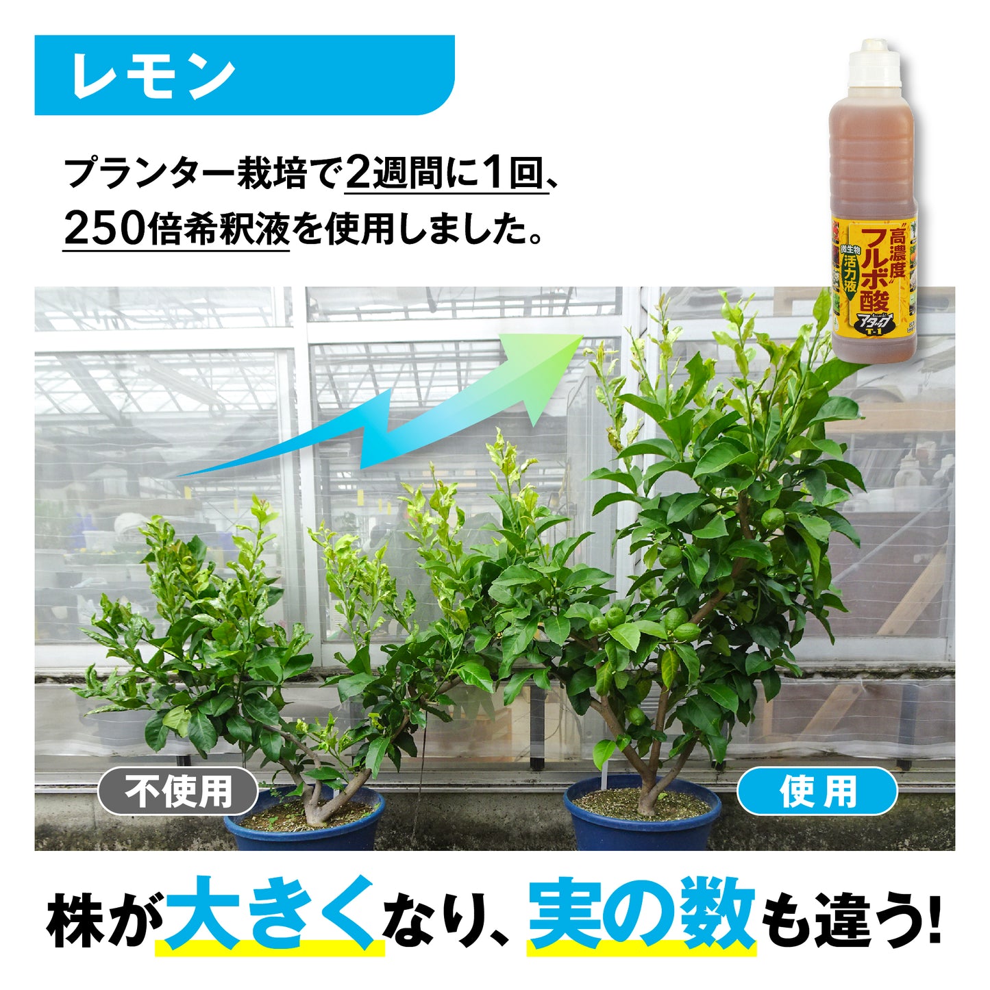 高濃度フルボ酸活力液 アタックT-1 18L
