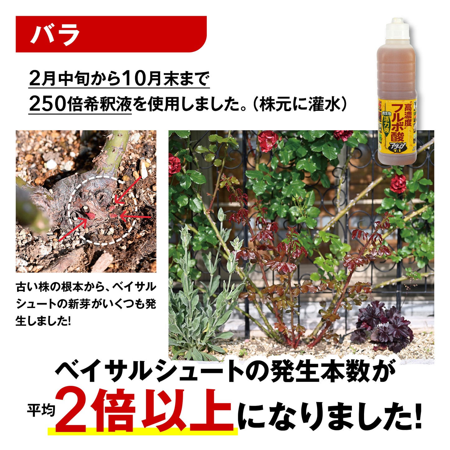 高濃度フルボ酸活力液 アタックT-1 18L