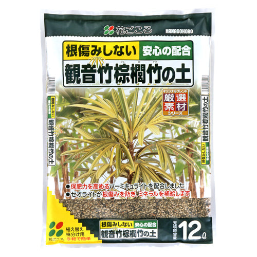 花ごころ 観音竹・棕櫚竹の土