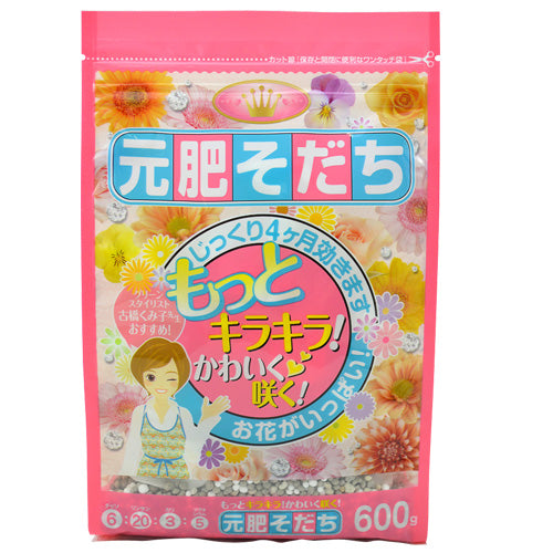 古橋くみ子先生オススメ!元肥そだち600g