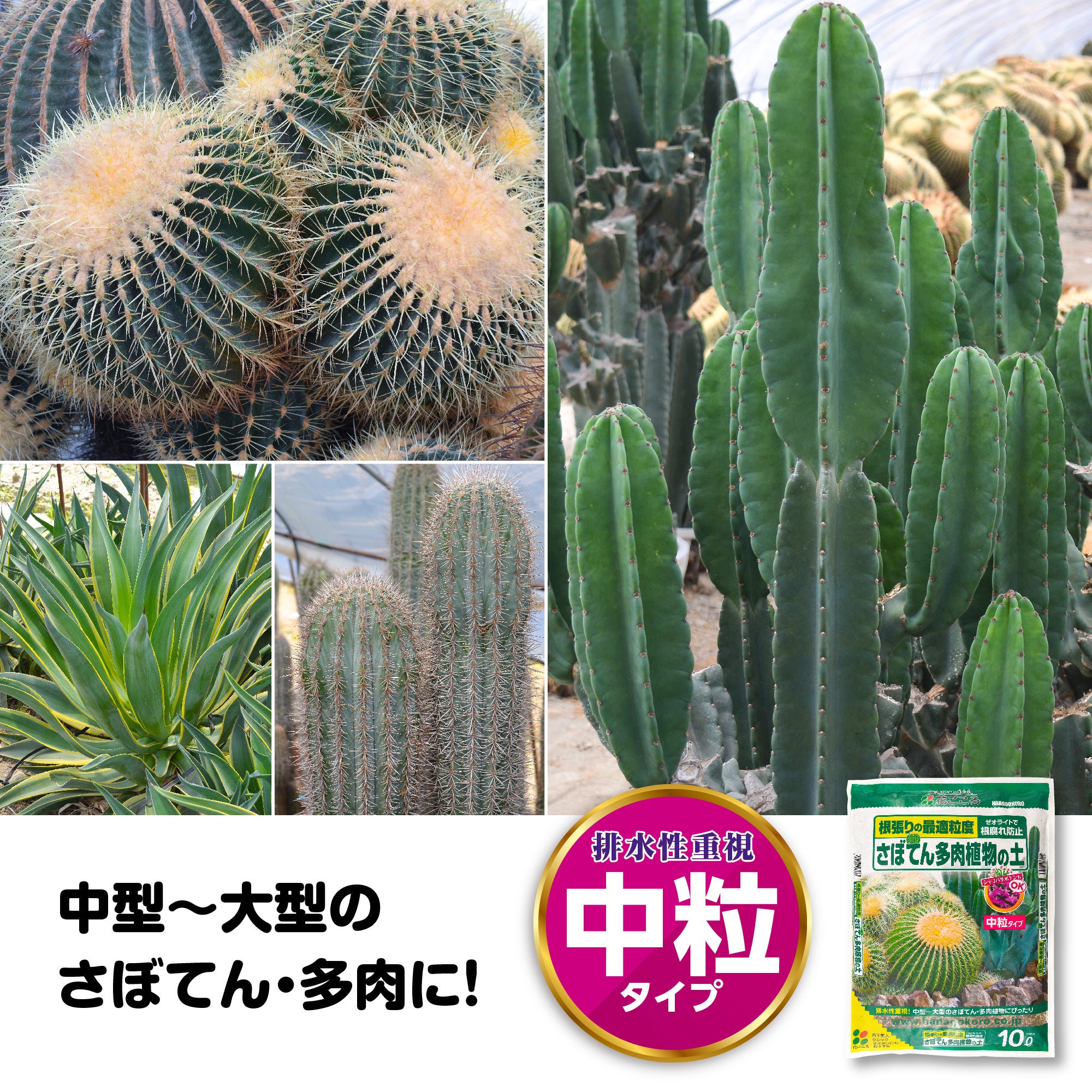 花ごころ さぼてん・多肉植物の土10L(中粒) – 花ちゃん園芸ショップ