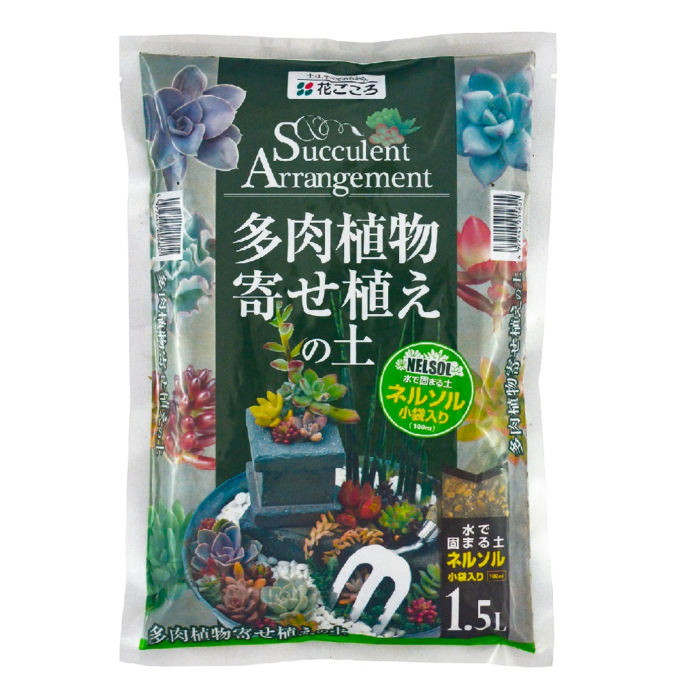 多肉植物寄せ植えの土