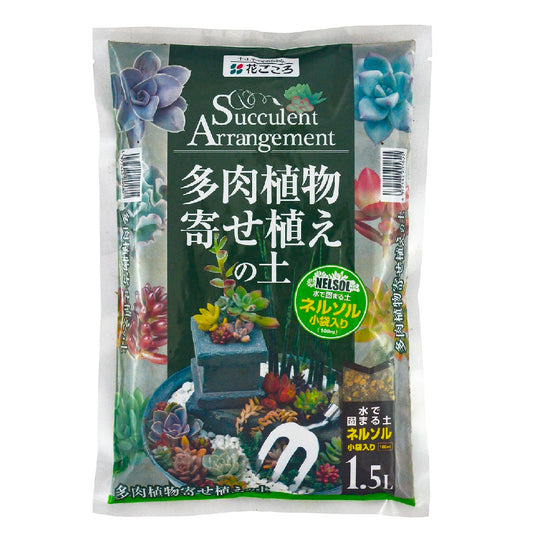 多肉植物寄せ植えの土