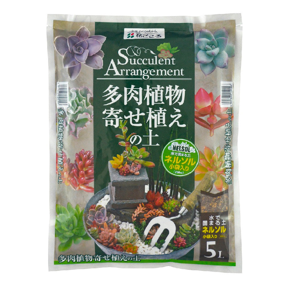 多肉植物寄せ植えの土