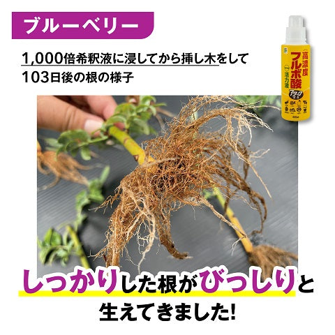 高濃度フルボ酸活力液 アタックT-1