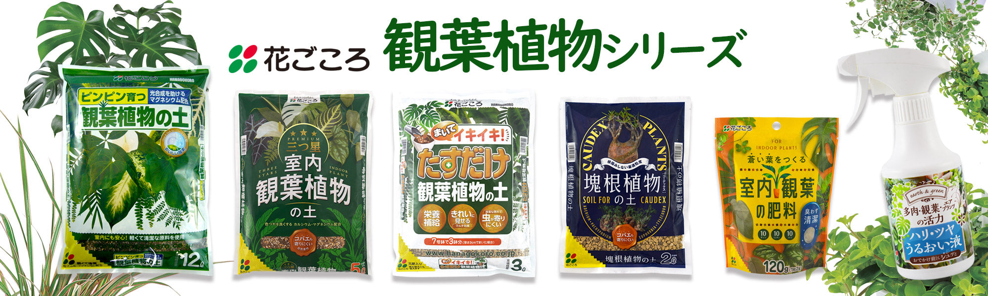 花ちゃん園芸ショップ